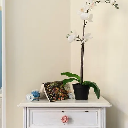 Apartment Enchanting Alcove In Ponte Vecchio *
